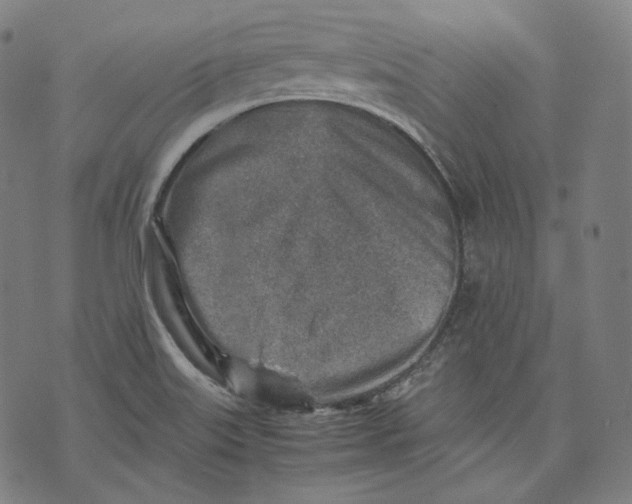 X0000074211515200609151543