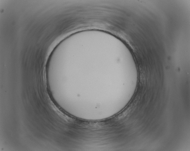 X0000074211516200609151543