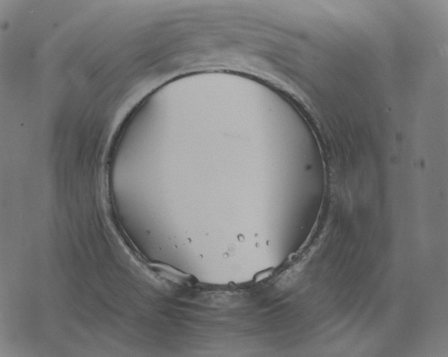 X0000074211517200609151543