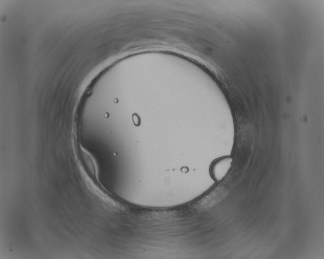 X0000074211518200609151543