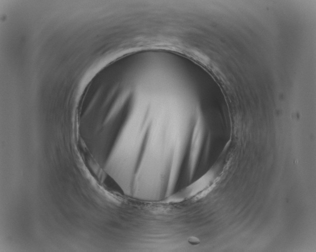 X0000074211520200609151543