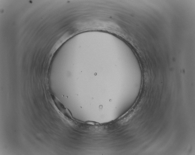 X0000074211521200609151543