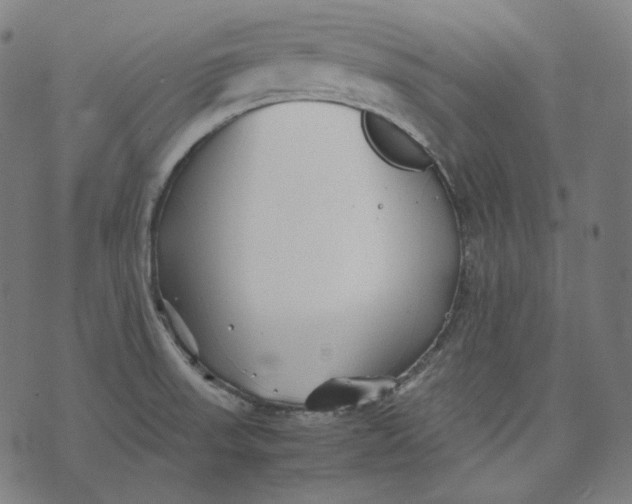 X0000074211523200609151543