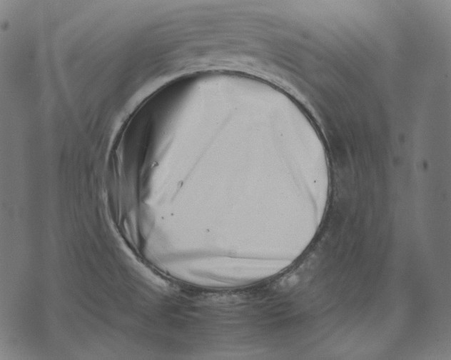 X0000074211525200609151543