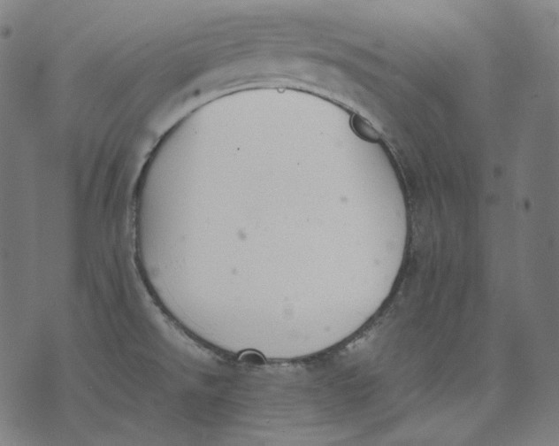 X0000074211526200609151543