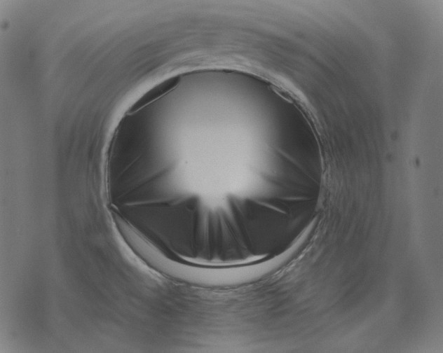 X0000074211528200609151543