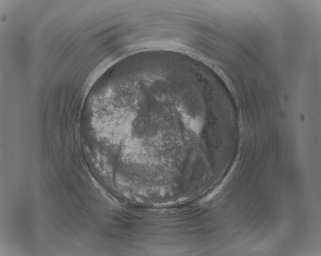 X0000074211529200609151543