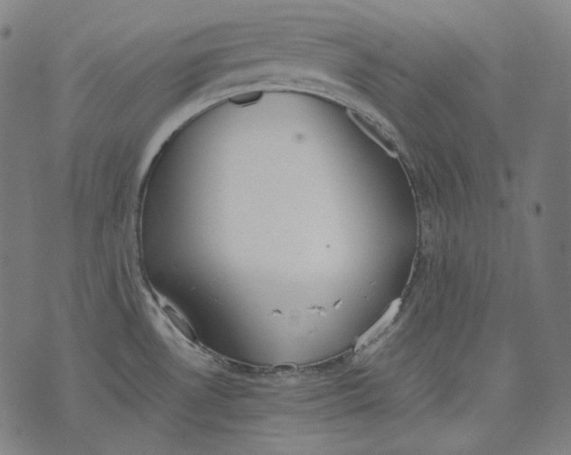 X0000074211530200609151543