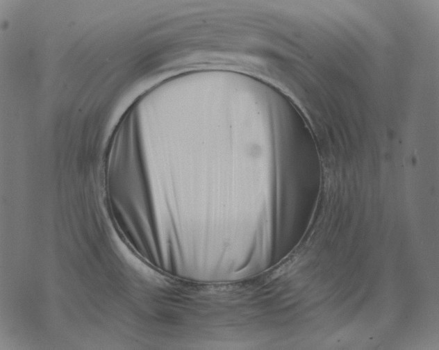 X0000074211531200609151543