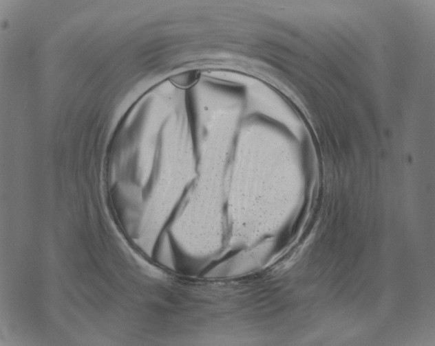 X0000074211533200609151543