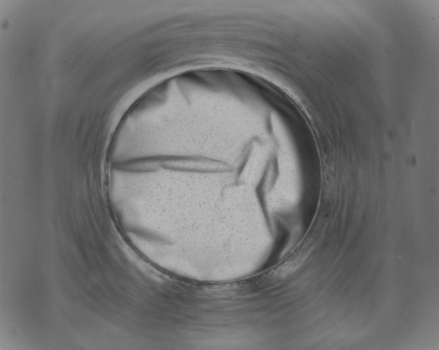 X0000074211535200609151544