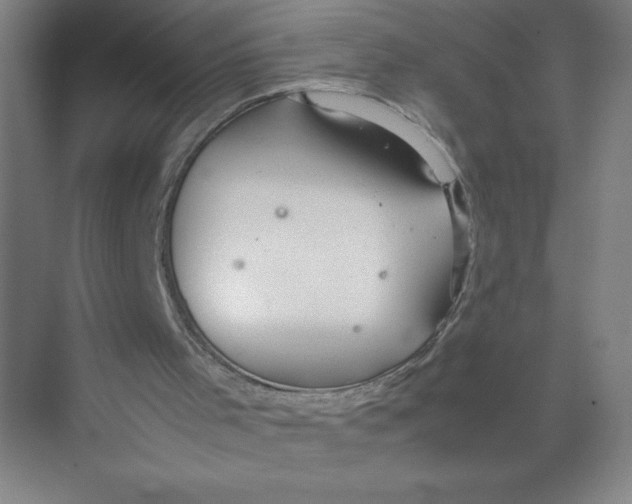 X0000074210001200609221953