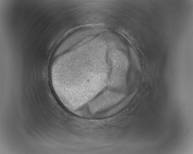 X0000074210002200609221953