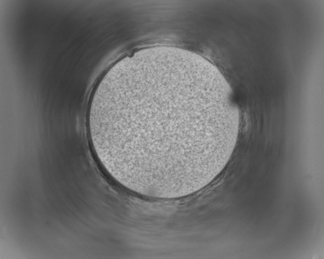 X0000074210004200609221953