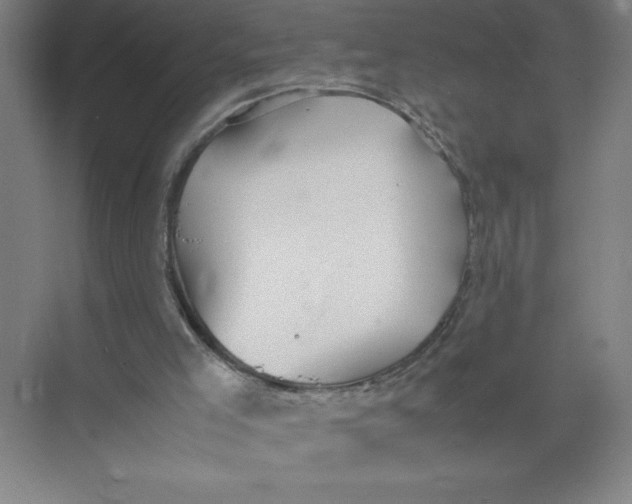 X0000074210005200609221953