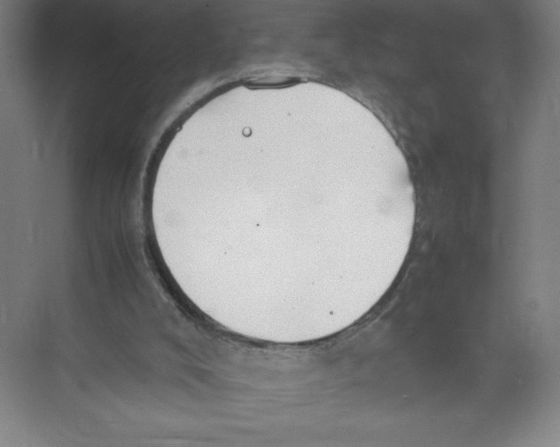 X0000074210008200609221953