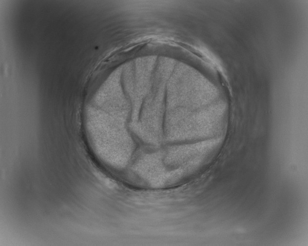 X0000074210009200609221953