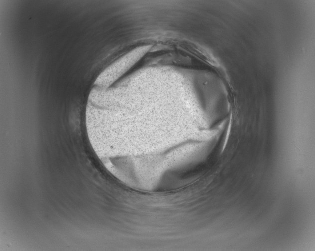 X0000074210010200609221953