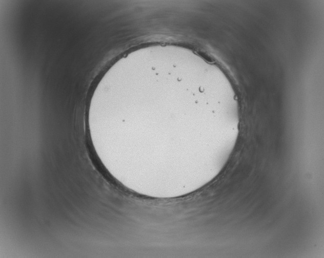 X0000074210011200609221953