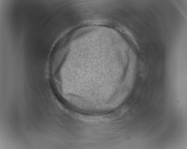 X0000074210012200609221953