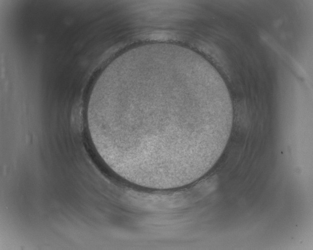 X0000074210016200609221953