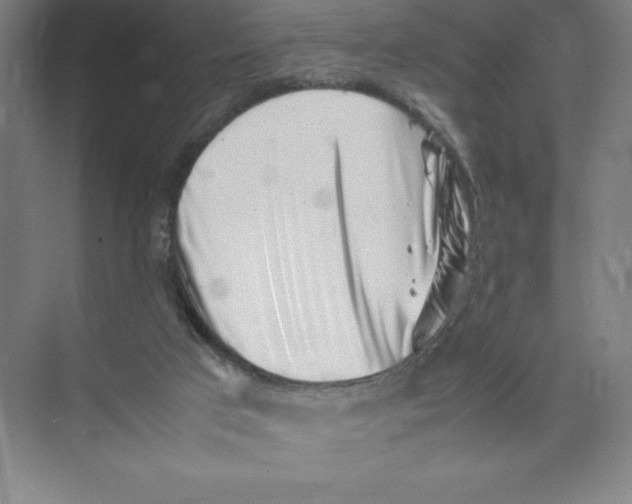 X0000074210017200609221953