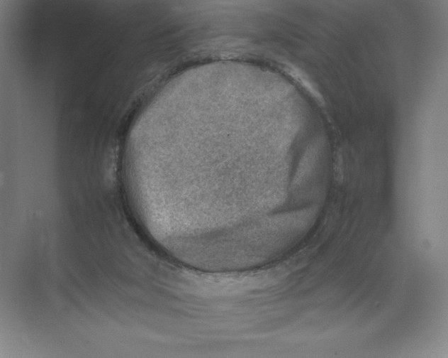 X0000074210018200609221953