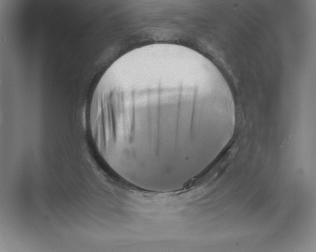 X0000074210019200609221953