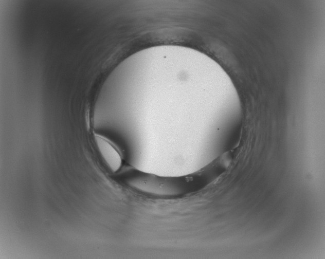 X0000074210021200609221953