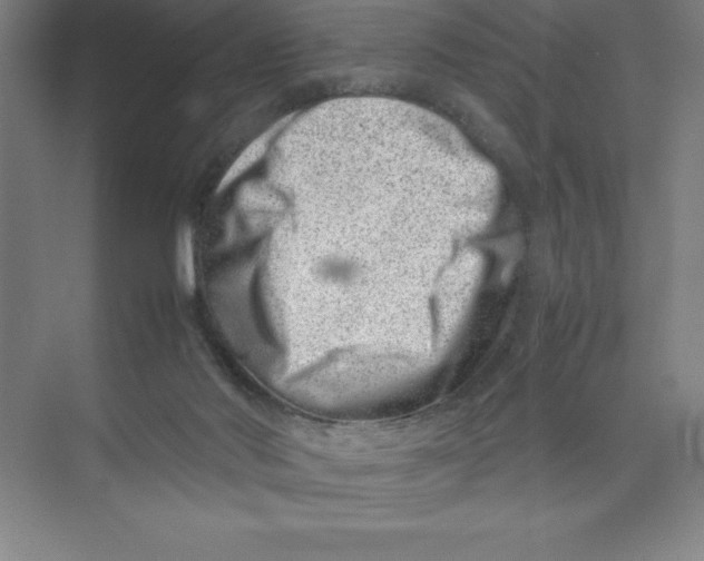 X0000074210022200609221953