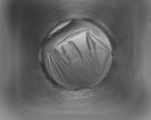 X0000074210023200609221953