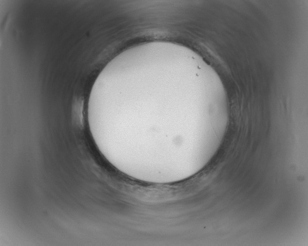 X0000074210024200609221953