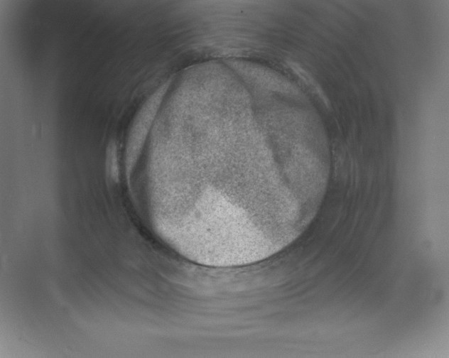 X0000074210026200609221953