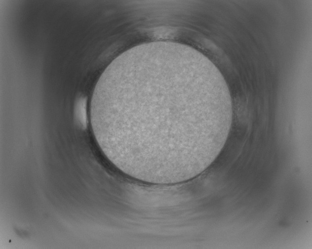 X0000074210028200609221953