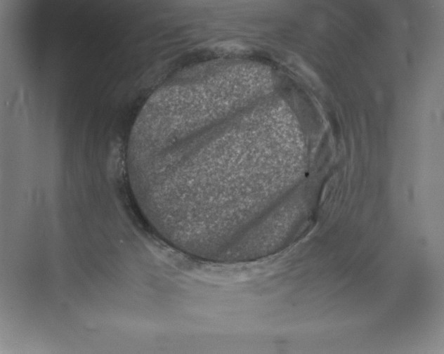 X0000074210029200609221953