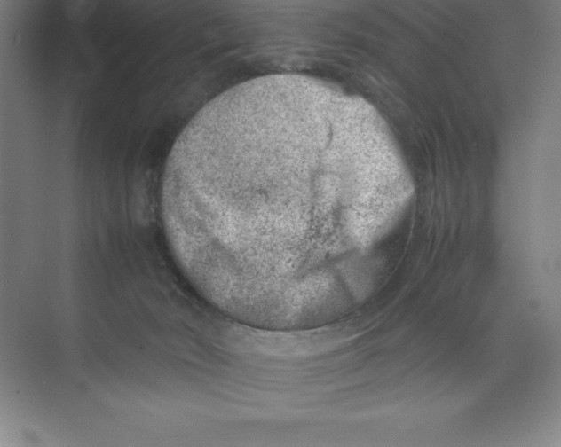 X0000074210030200609221953