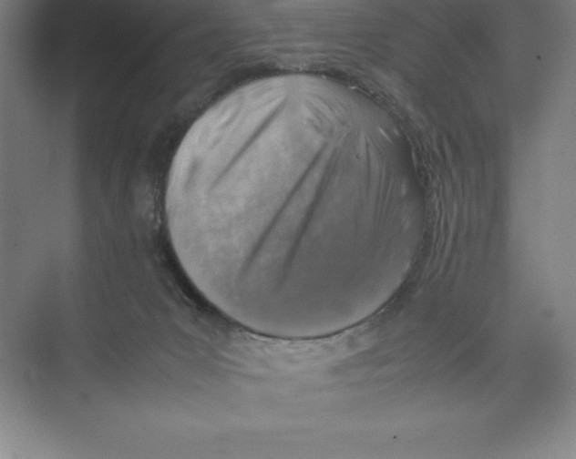 X0000074210031200609221953