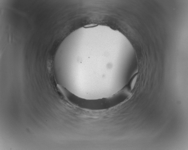 X0000074210033200609221953