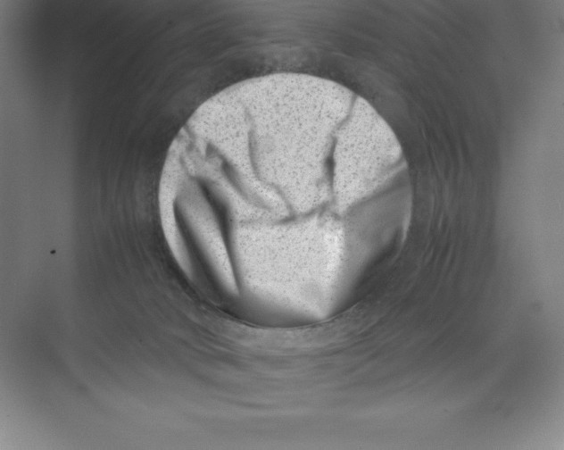 X0000074210034200609221953