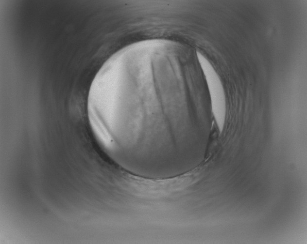 X0000074210035200609221953