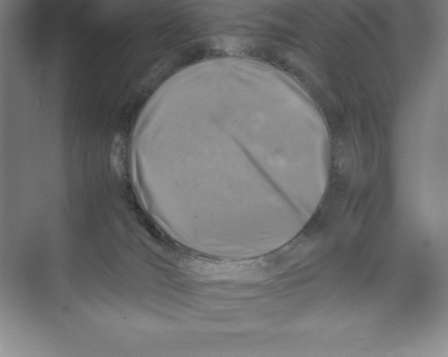 X0000074210036200609221953