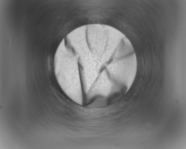 X0000074210038200609221953