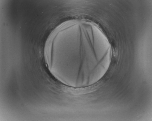 X0000074210039200609221953