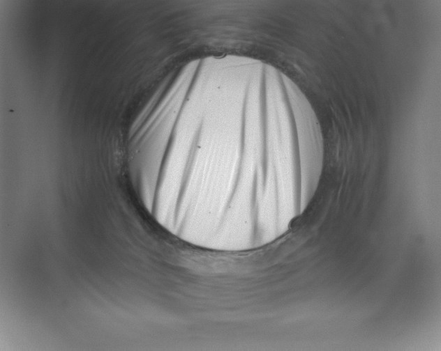 X0000074210040200609221953