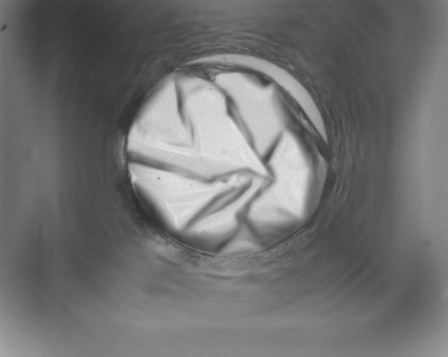 X0000074210041200609221953