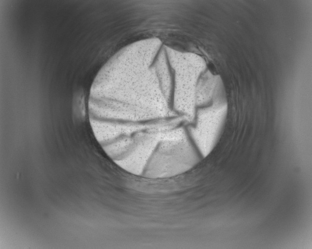 X0000074210042200609221953