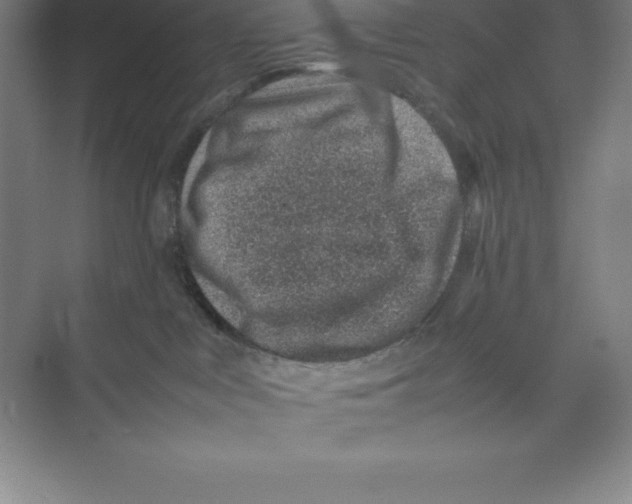 X0000074210043200609221953