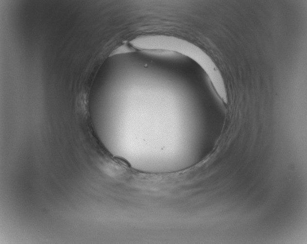 X0000074210045200609221953