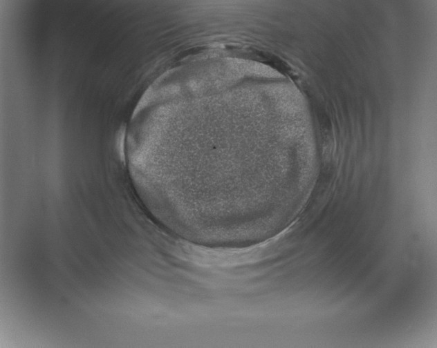 X0000074210047200609221953