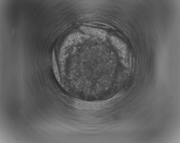 X0000074210048200609221953